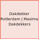 Dakdekker Rotterdam | Maxima Dakdekkers